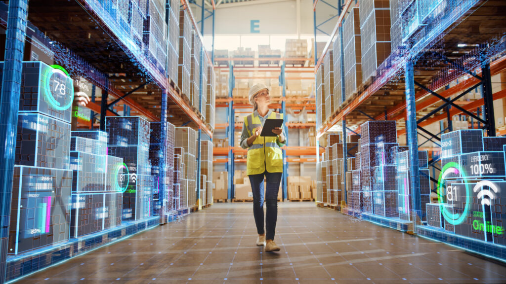 Individuelle Logistik-Software